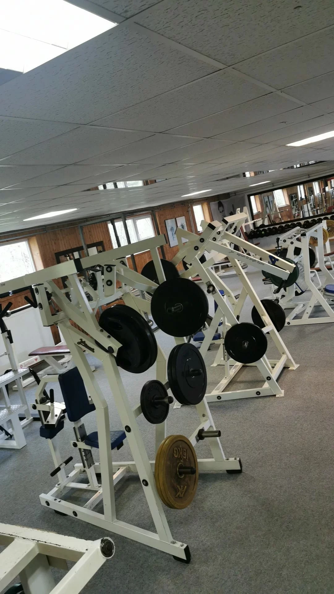 Trainingsfläche im Old School Studio Fitness Farm Steiger, Bessenbach