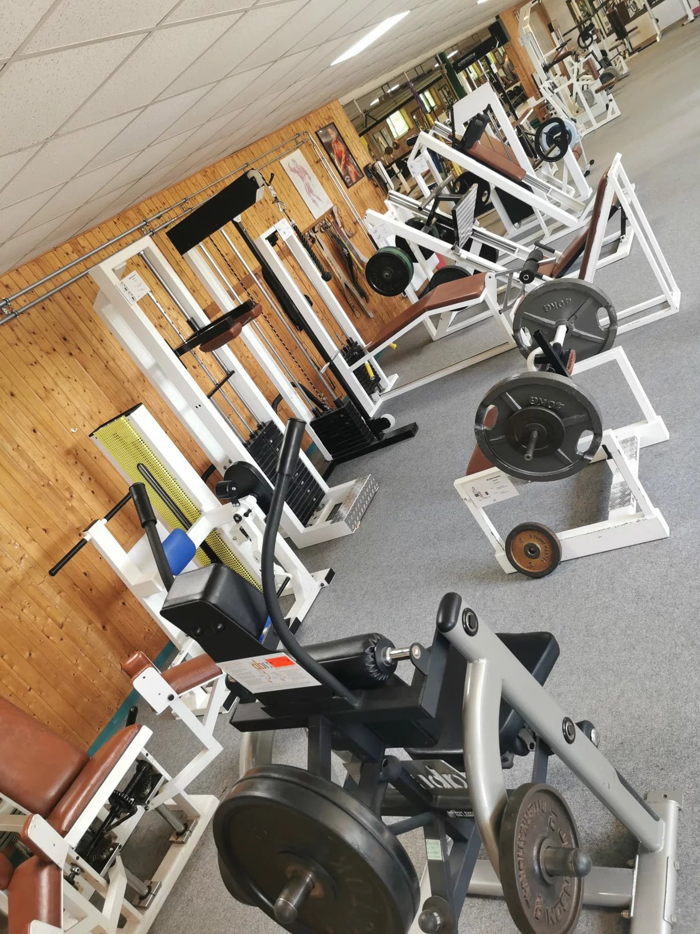 Trainingsfläche im Old School Studio Fitness Farm Steiger, Bessenbach